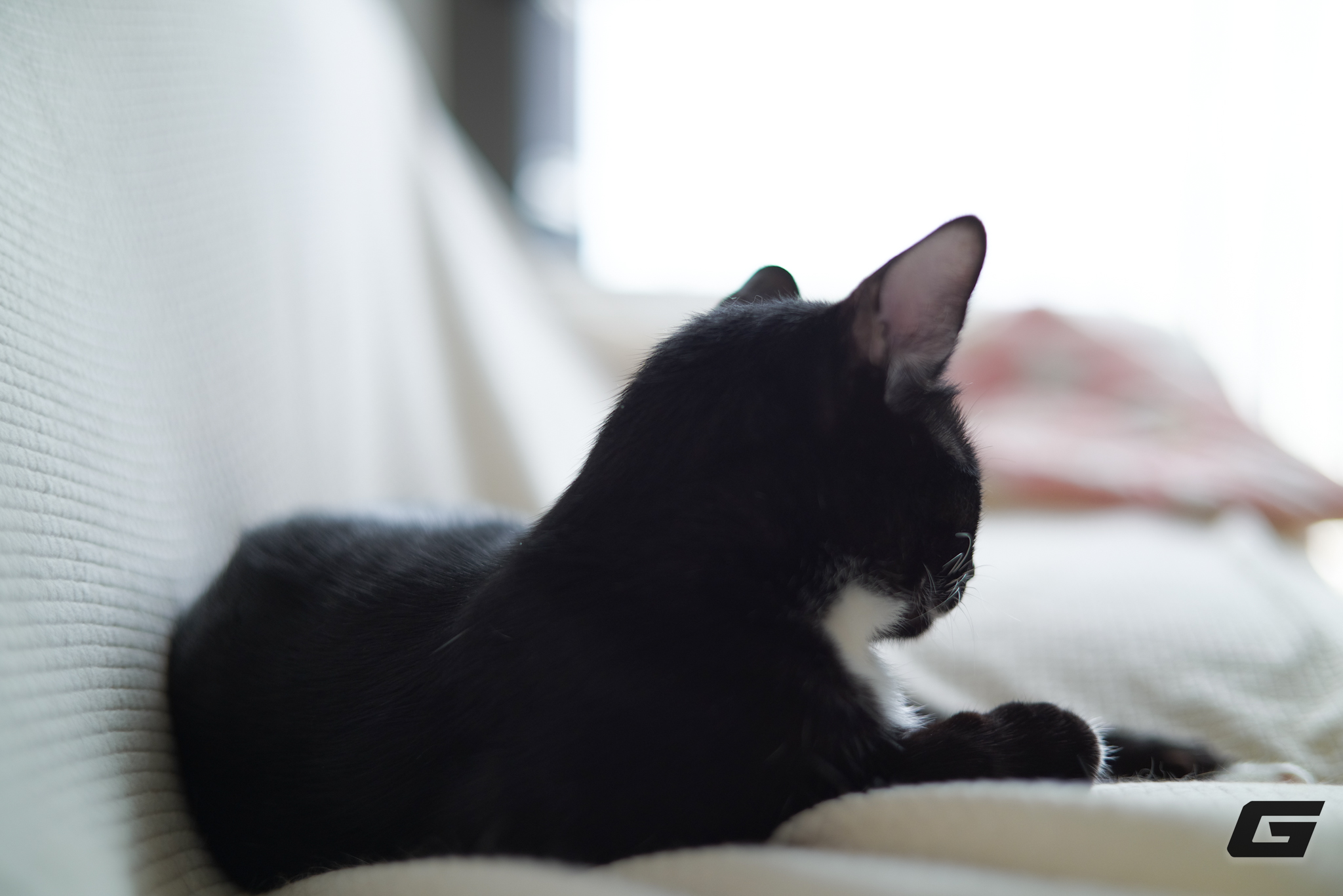 Hiệu ứng bokeh mịn màng từ ống kính