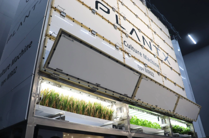 Cơ sở thí điểm vườn rau đóng hộp xếp chồng của Plantx