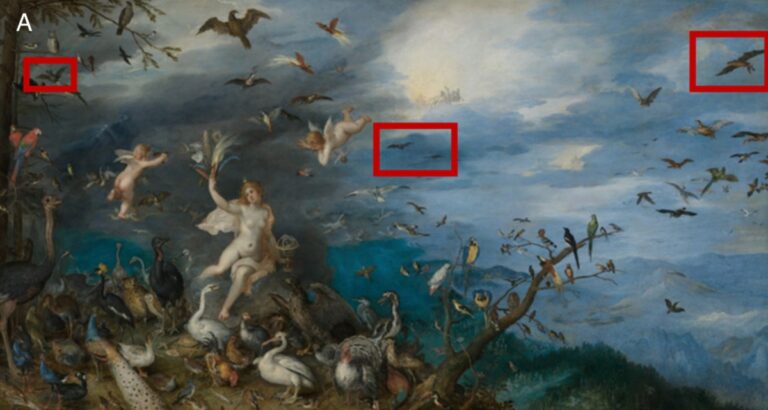 c4885073d3a61a12af99397ebdab2250