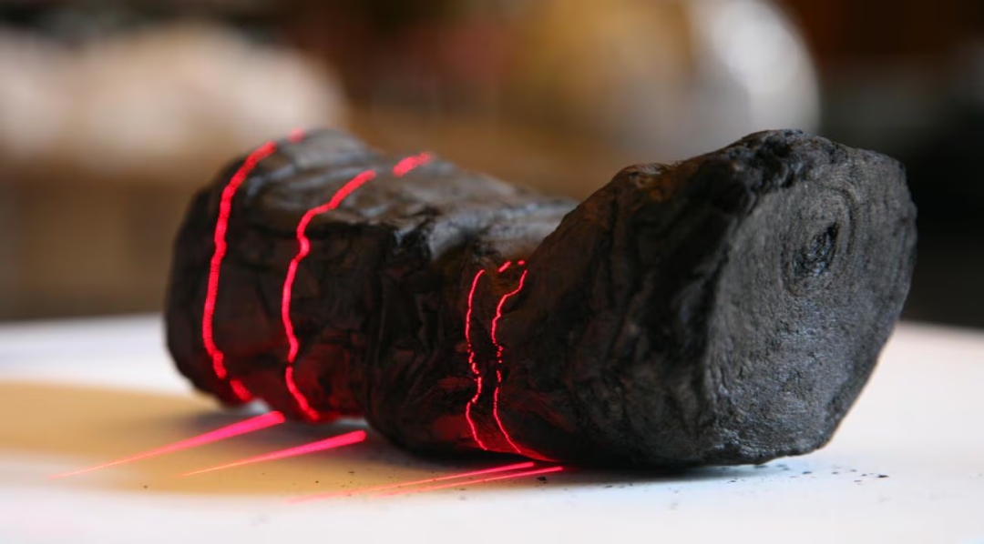Các cuộn cổ thư hóa than từ Herculaneum sau thảm họa Vesuvius. Cuộn cổ thư hóa than.